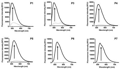 Quinone-Derived π-Extended Phenazines as New Fluorogenic Probes for Live-Cell Imaging of Lipid Droplets